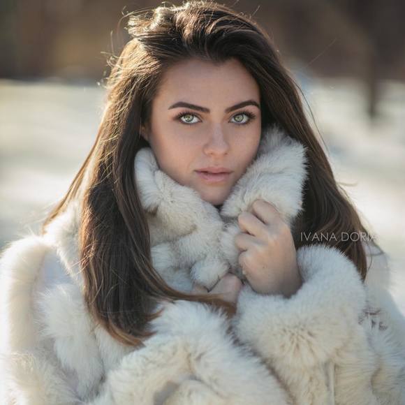 Meet your Posher, Bailey - Picture 1 of 1